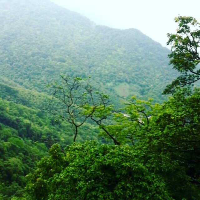 westernghats kerala india ghats