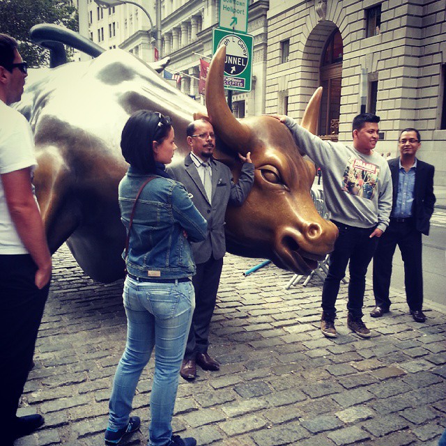 People going crazy to take a picture with bull