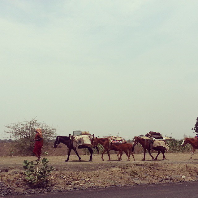 Migration.

Some where in between Hyderabad and Nagpur