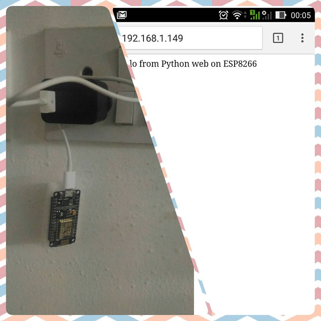 My Rs.500 python server
